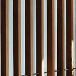 Arca